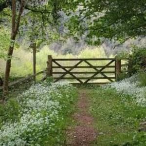 Meet your Posher, Becky